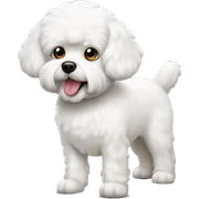 white dog bichon maltés  sticker