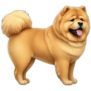 Chow chow sticker