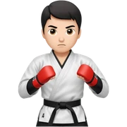 karate  sticker