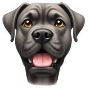 cane corso sticker
