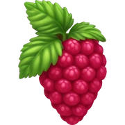 raspberry  sticker