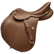 Dior Saddle sticker
