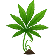 Weed plant sticker