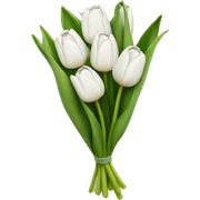 white tulip bouquet  sticker