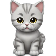 Cute British shorthair kitten  sticker