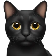 gato negro sticker