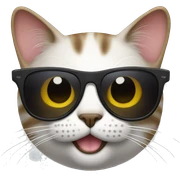 Cat with sunglasses sticker