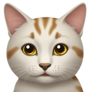 CAT sticker