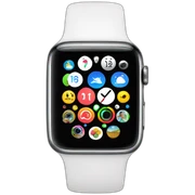 Apple Watch sticker