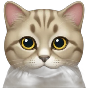 A british cat sticker