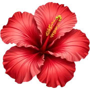 hibiscus sticker