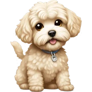 maltipoo sticker