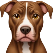 Brown pitbull sticker