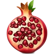 Pomegranate  sticker