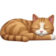 Cat sleeping  sticker