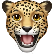 Leopard  sticker