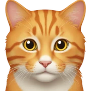 orange cat sticker