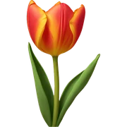 Sunset tulip sticker