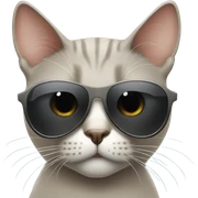 Cat with sunglasses sticker