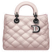 dior bag sticker