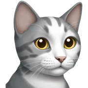 Grey and white cat sticker