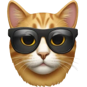 Cat with sunglasses sticker