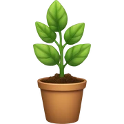 plant sticker