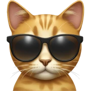 Cat with sunglasses sticker