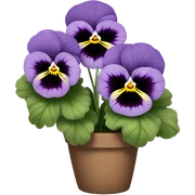 Light purple pansies  sticker