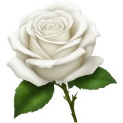 white rose sticker