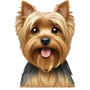 Yorkshire Terrier sticker