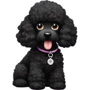 Black poodle sticker