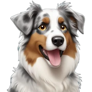 Australian Shepherd sticker