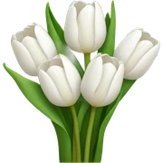 white tulip bouquet  sticker