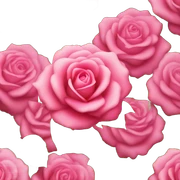 Rosa sticker