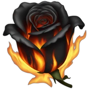 BURNING BLACK ROSE sticker