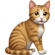 Tabby cat  sticker