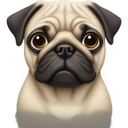 Pug sticker