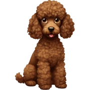 brown poodle sticker