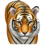 Tiger  sticker