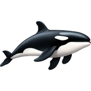 killer whale sticker