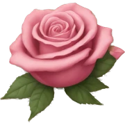 Rose book sticker