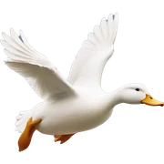 Duck flying sticker