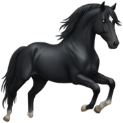 black horse sticker