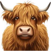 highland cow sticker