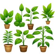 Plants  sticker