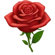 red rose sticker