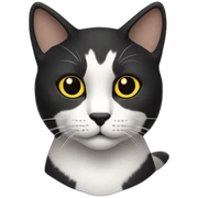 Gato de color negro, blanco con amarillo sticker