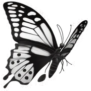 Mariposa bolando en blanco y negro  sticker