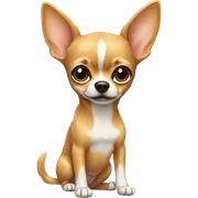 Chihuaha sticker